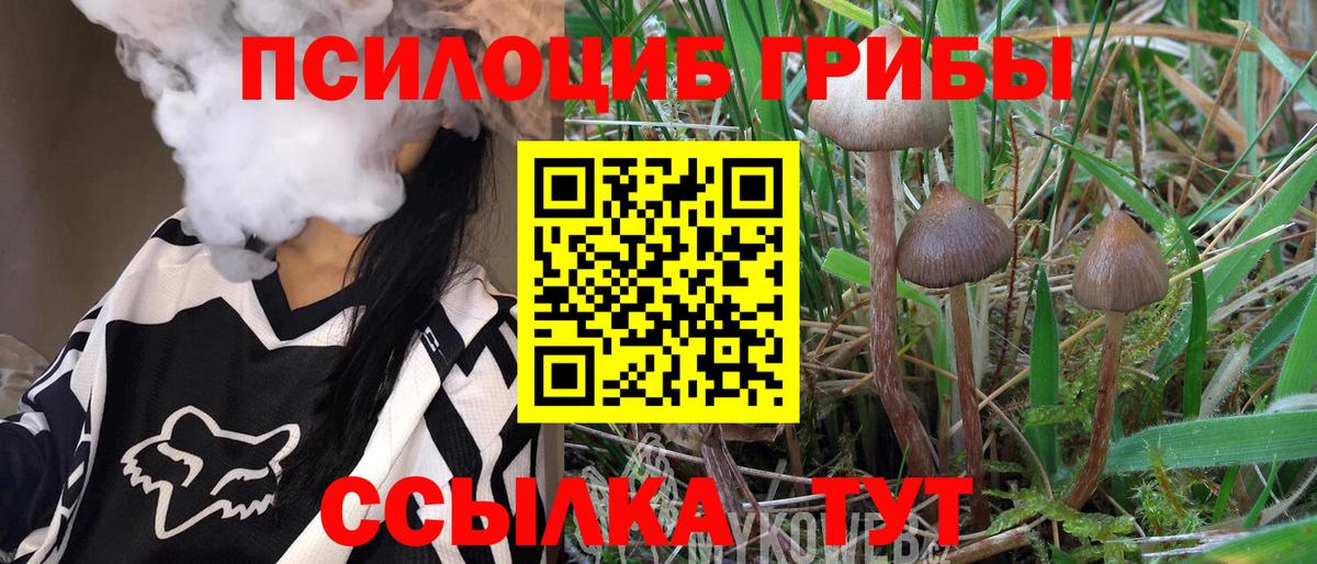 Псилоцибиновые грибы мухоморы Маркс