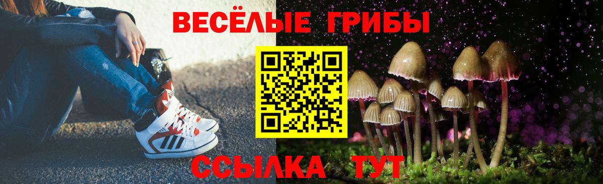 Галлюциногенные грибы мицелий  закладки  Маркс  Вход с VPN 